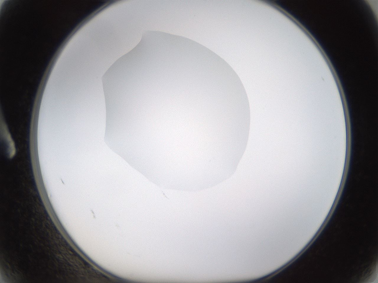 folderID596_plateID1596_batchID6729_wellNum2_profileID1_d1_r106166_ef.jpg