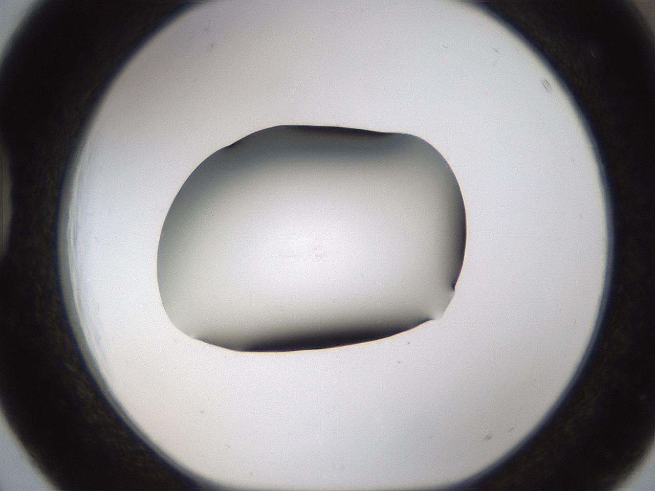 folderID596_plateID1596_batchID6729_wellNum39_profileID1_d1_r106240_ef.jpg