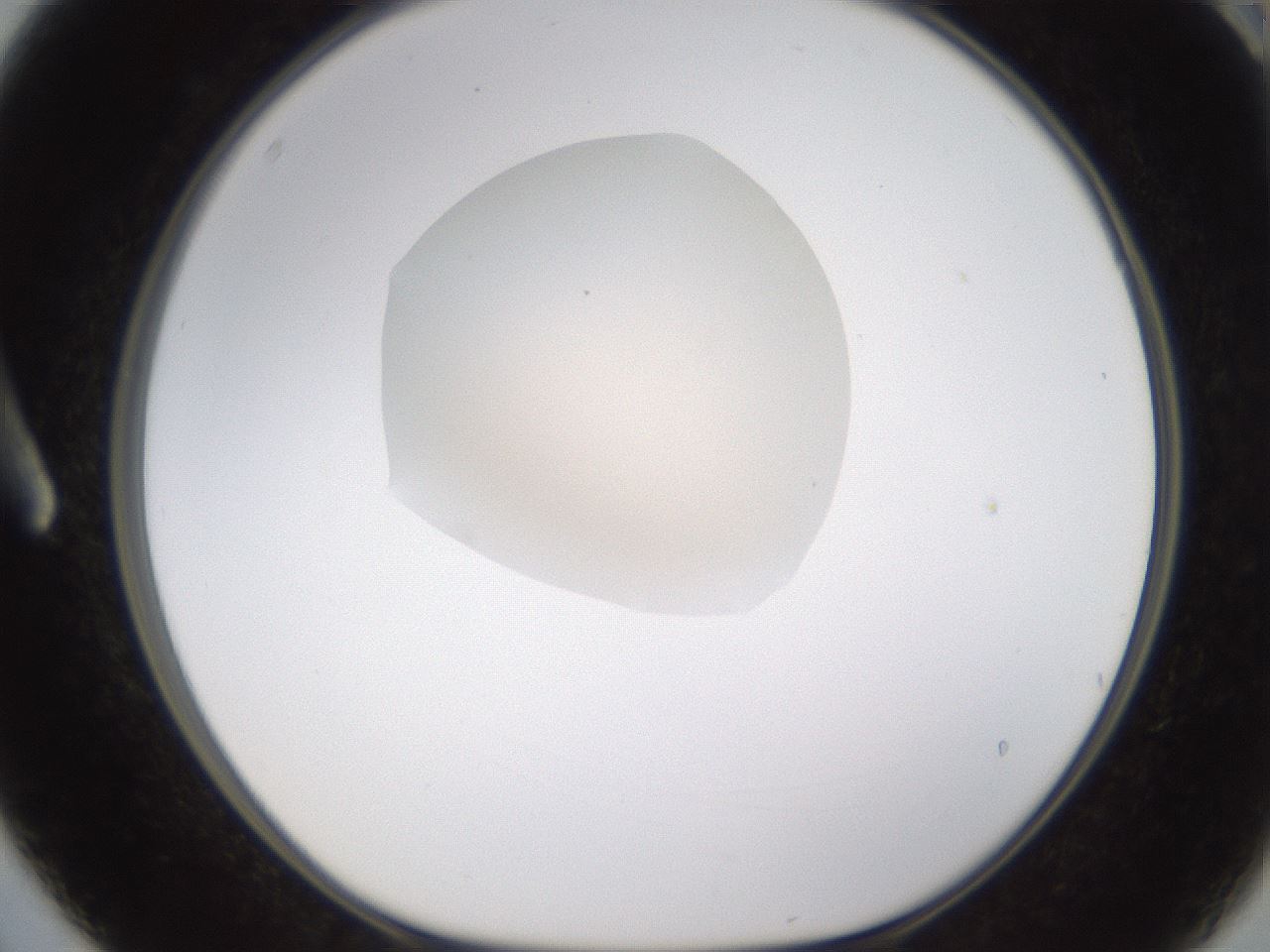 folderID596_plateID1596_batchID6729_wellNum3_profileID1_d1_r106168_ef.jpg