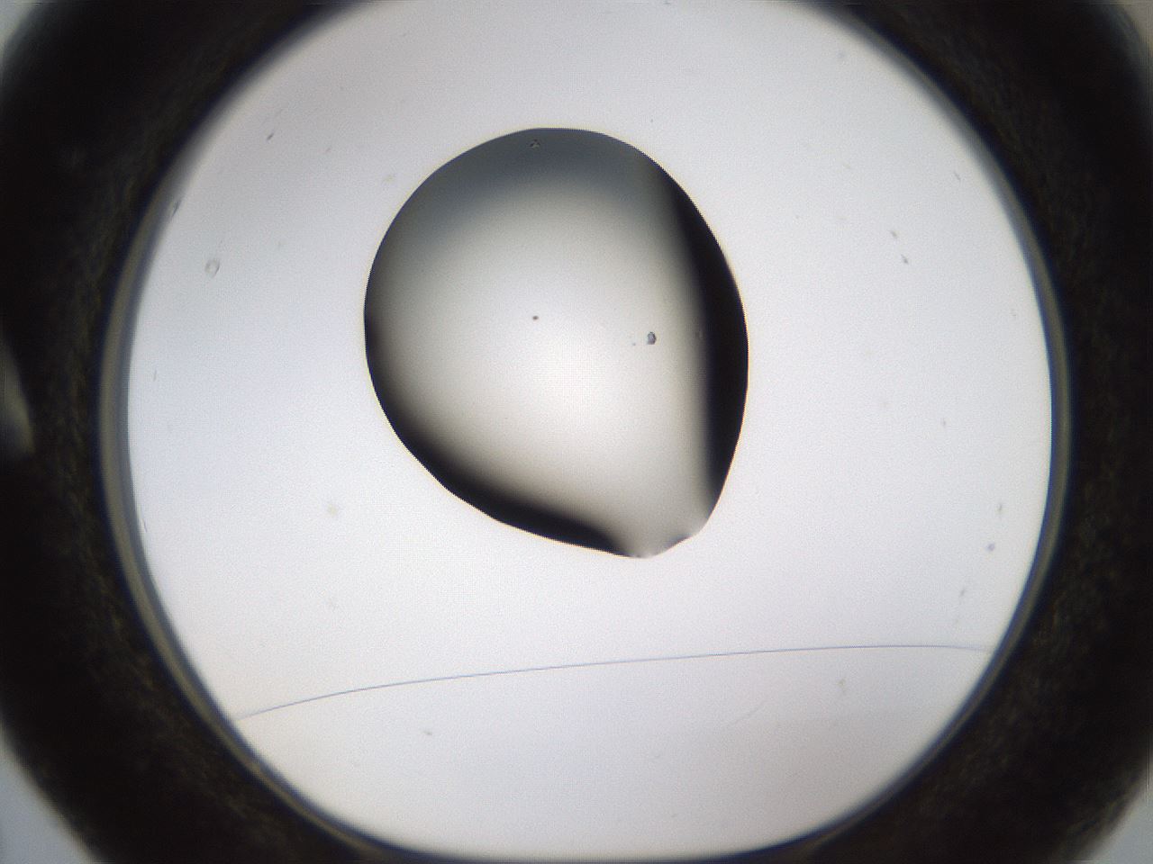 folderID596_plateID1596_batchID6729_wellNum5_profileID1_d1_r106172_ef.jpg