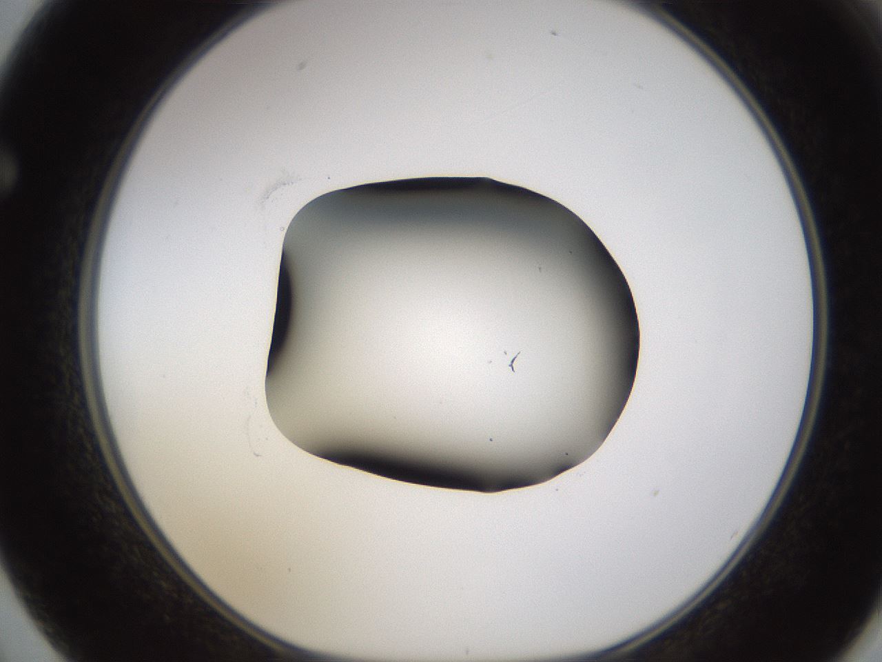 folderID596_plateID1596_batchID6729_wellNum62_profileID1_d1_r106286_ef.jpg