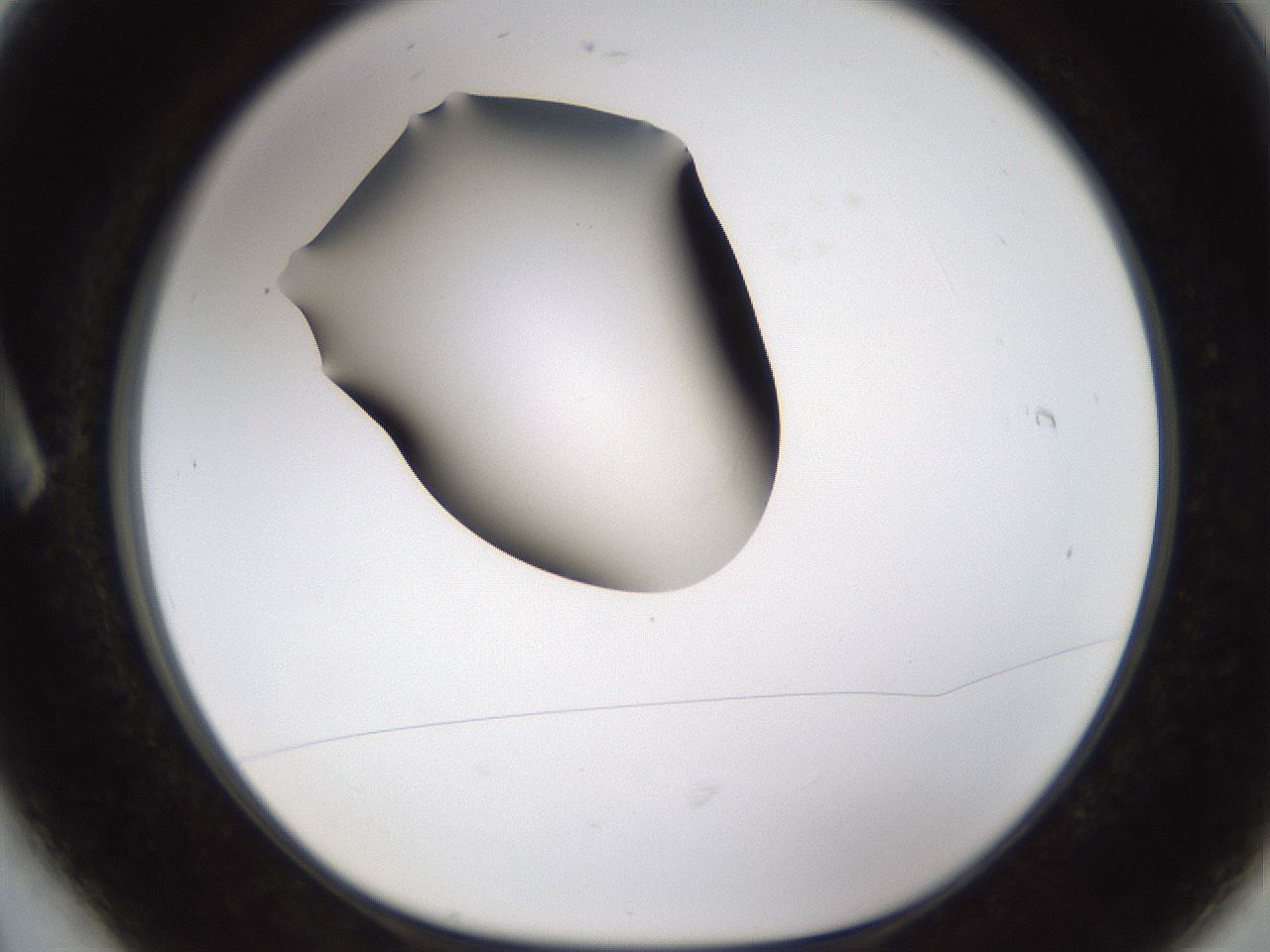 folderID596_plateID1596_batchID6729_wellNum6_profileID1_d1_r106174_ef.jpg