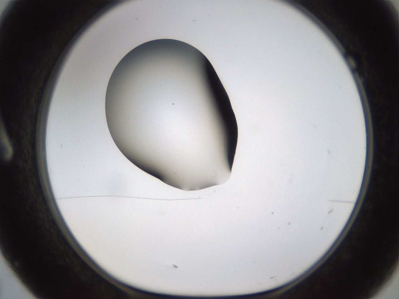folderID596_plateID1596_batchID6729_wellNum7_profileID1_d1_r106176_ef.jpg