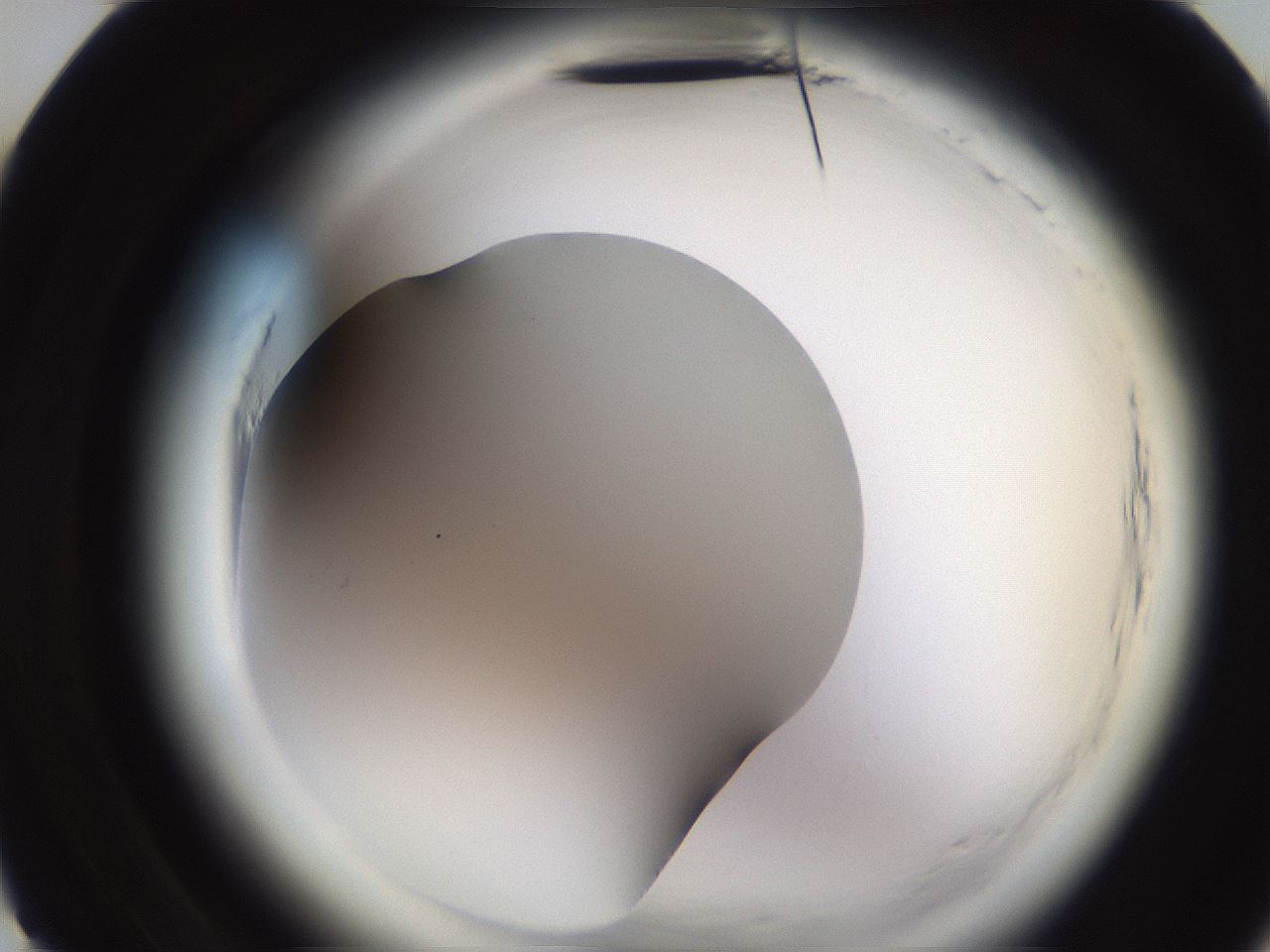 folderID596_plateID2596_batchID13191_wellNum10_profileID1_d3_r206823_ef.jpg