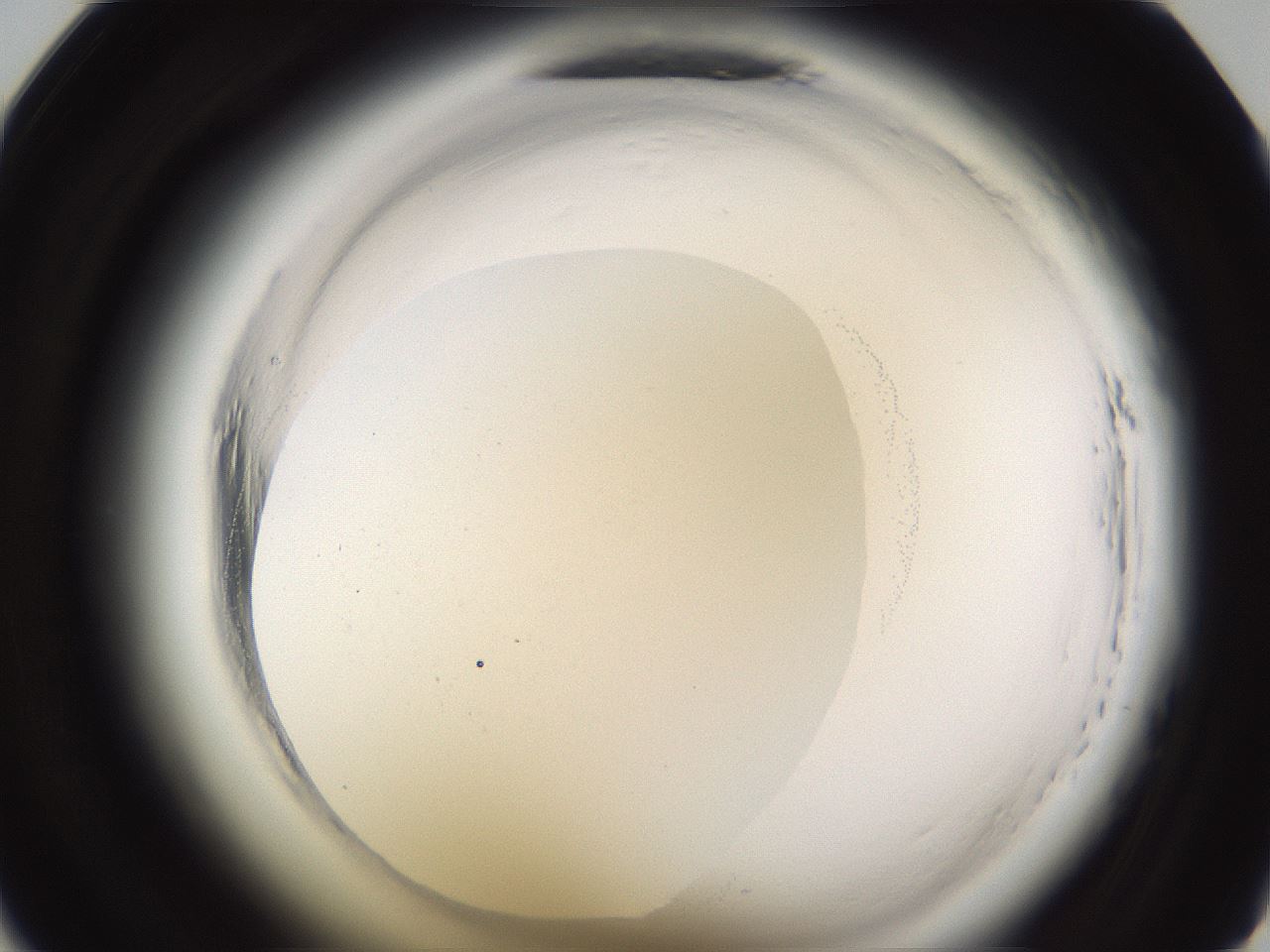 folderID596_plateID2596_batchID13191_wellNum33_profileID1_d1_r206890_ef.jpg
