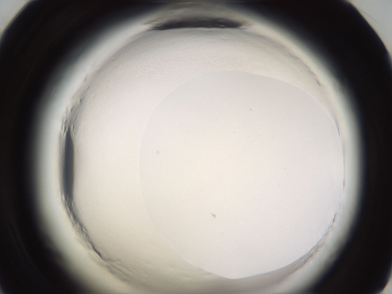 folderID596_plateID2596_batchID13191_wellNum59_profileID1_d1_r206968_ef.jpg