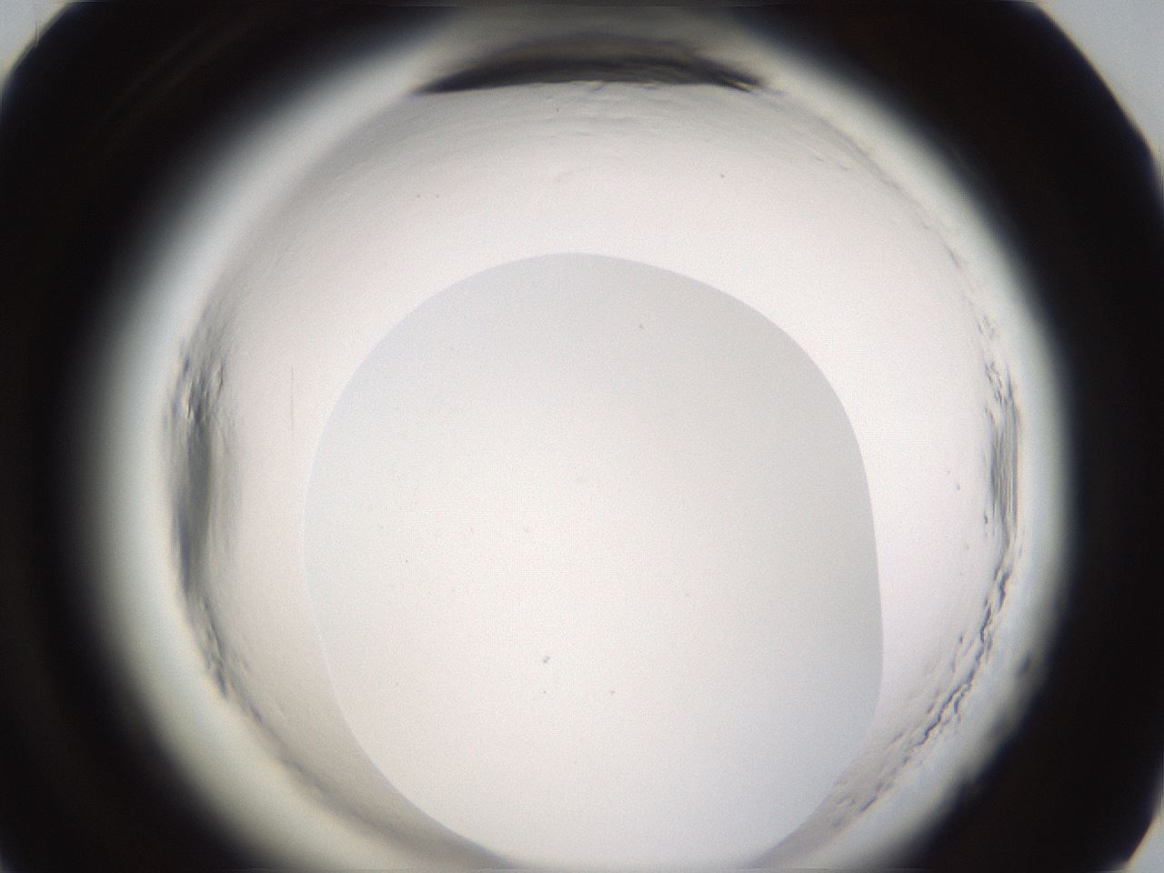 folderID596_plateID2596_batchID13191_wellNum70_profileID1_d1_r207001_ef.jpg