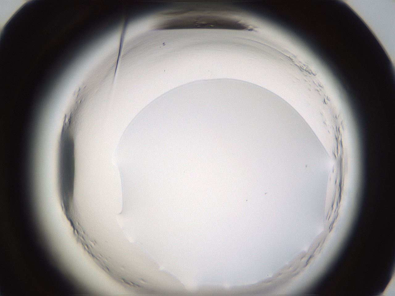 folderID596_plateID2596_batchID13191_wellNum72_profileID1_d1_r207007_ef.jpg