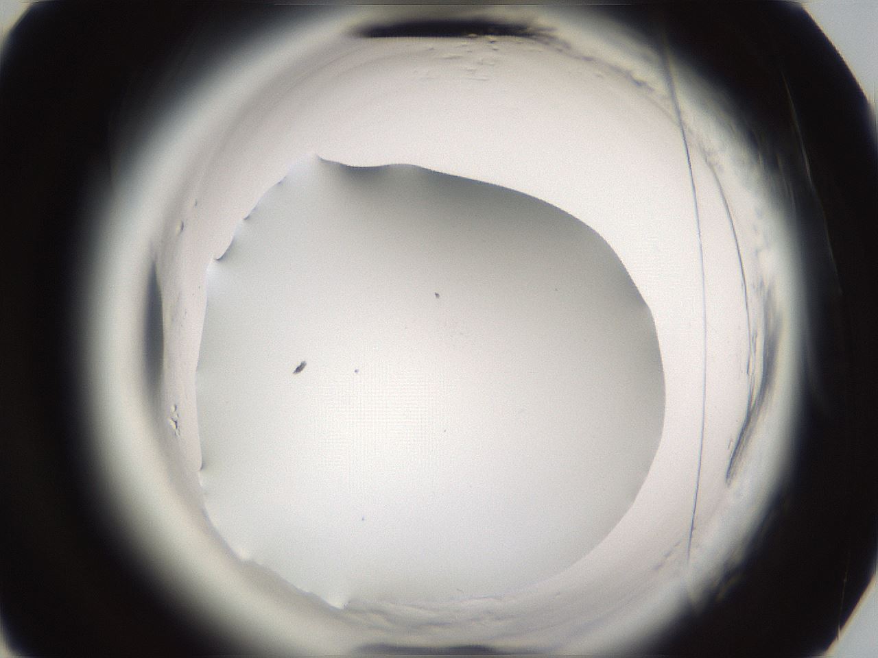 folderID596_plateID2596_batchID13191_wellNum75_profileID1_d3_r207018_ef.jpg
