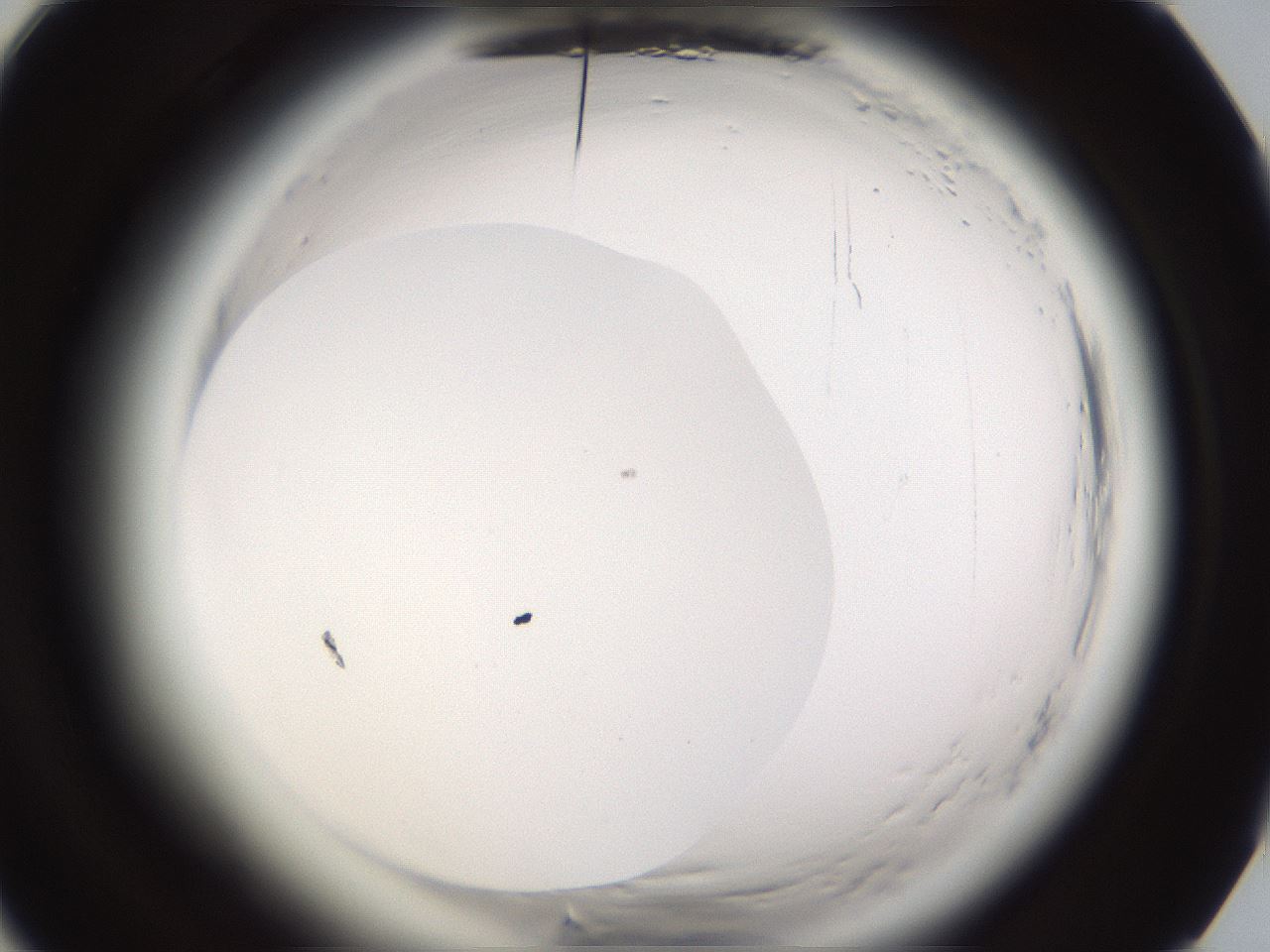 folderID596_plateID2596_batchID13191_wellNum86_profileID1_d1_r207049_ef.jpg