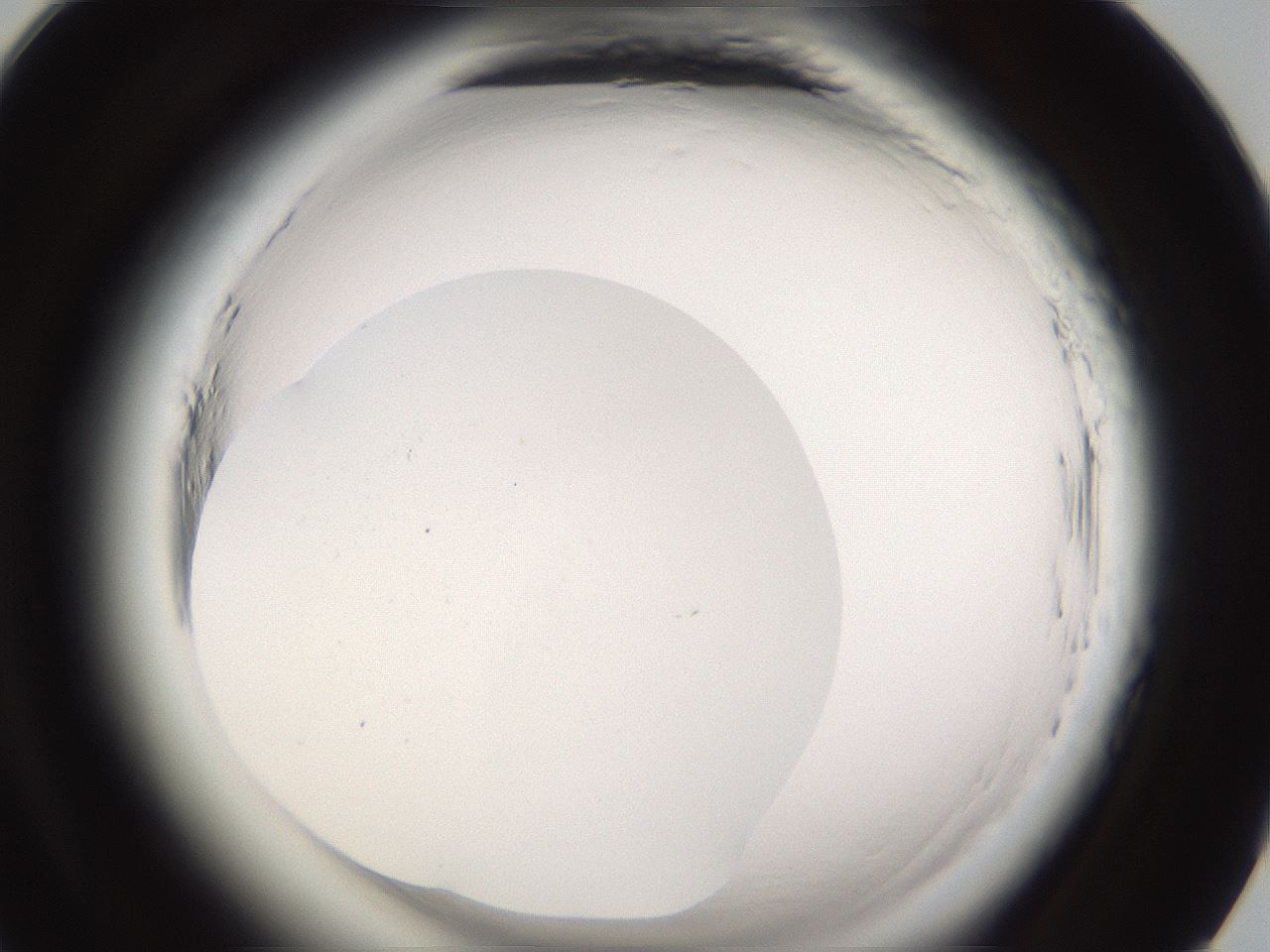 folderID596_plateID2596_batchID13191_wellNum93_profileID1_d1_r207070_ef.jpg