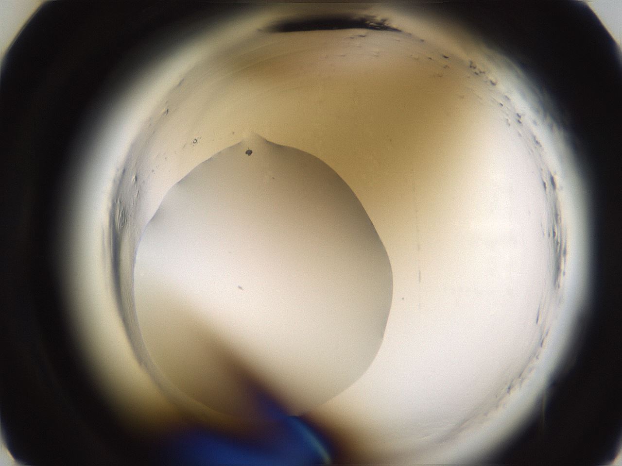 folderID596_plateID2596_batchID13191_wellNum9_profileID1_d2_r206819_ef.jpg