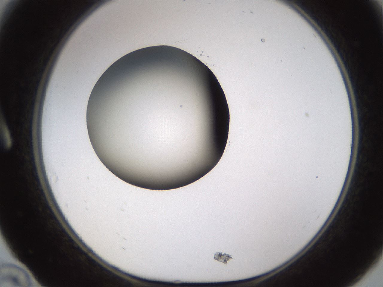 folderID597_plateID1597_batchID6720_wellNum10_profileID1_d1_r104454_ef.jpg