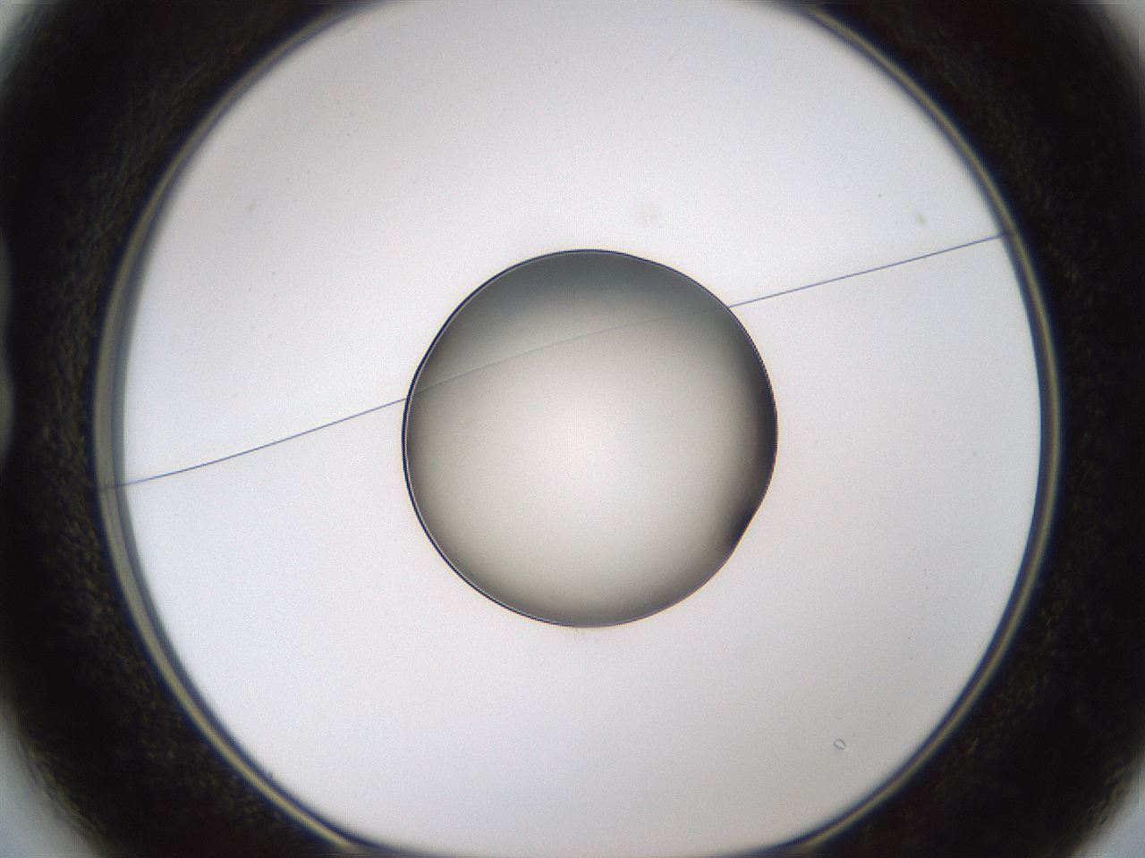 folderID597_plateID1597_batchID6720_wellNum13_profileID1_d1_r104460_ef.jpg