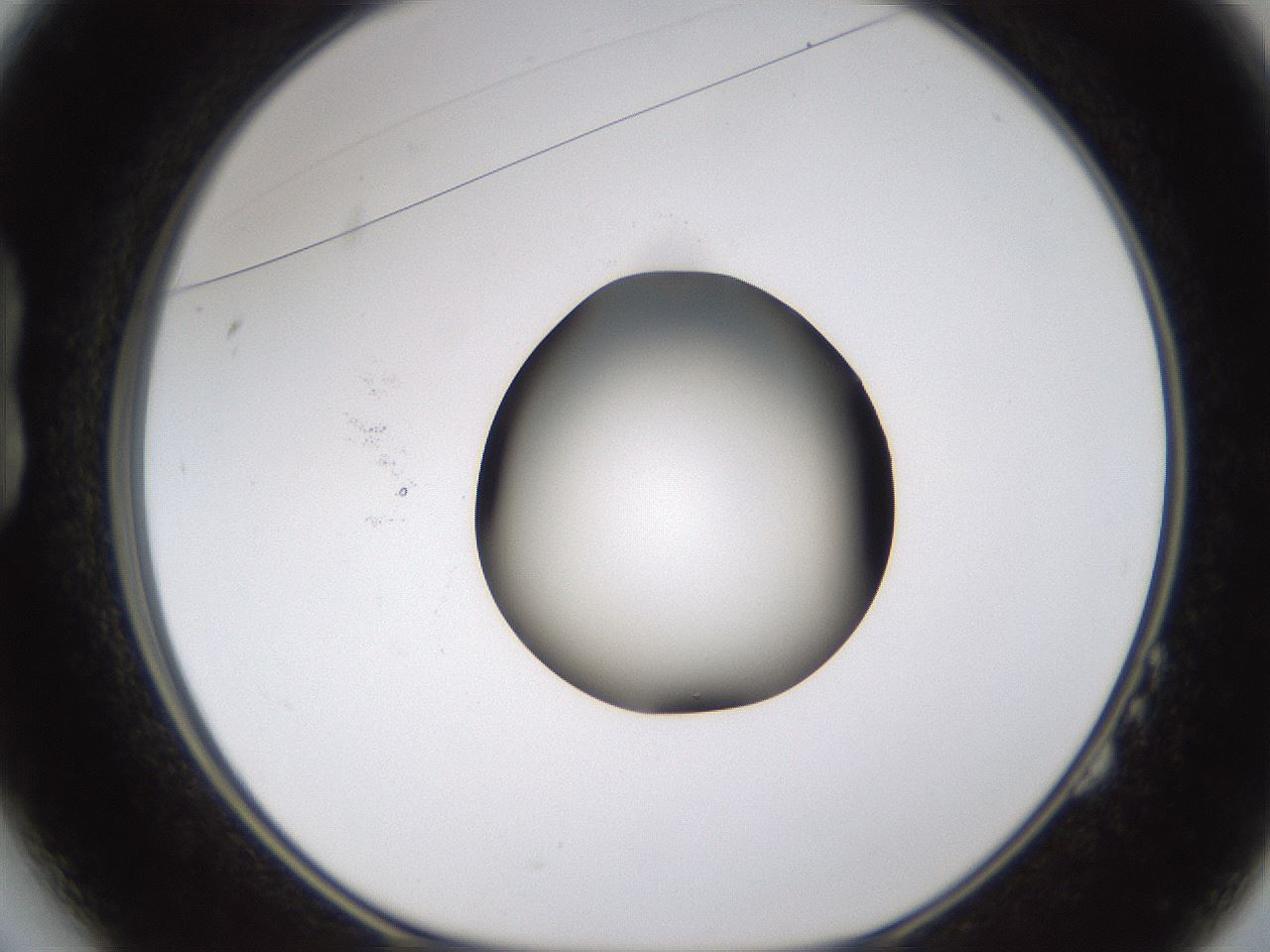 folderID597_plateID1597_batchID6720_wellNum14_profileID1_d1_r104462_ef.jpg