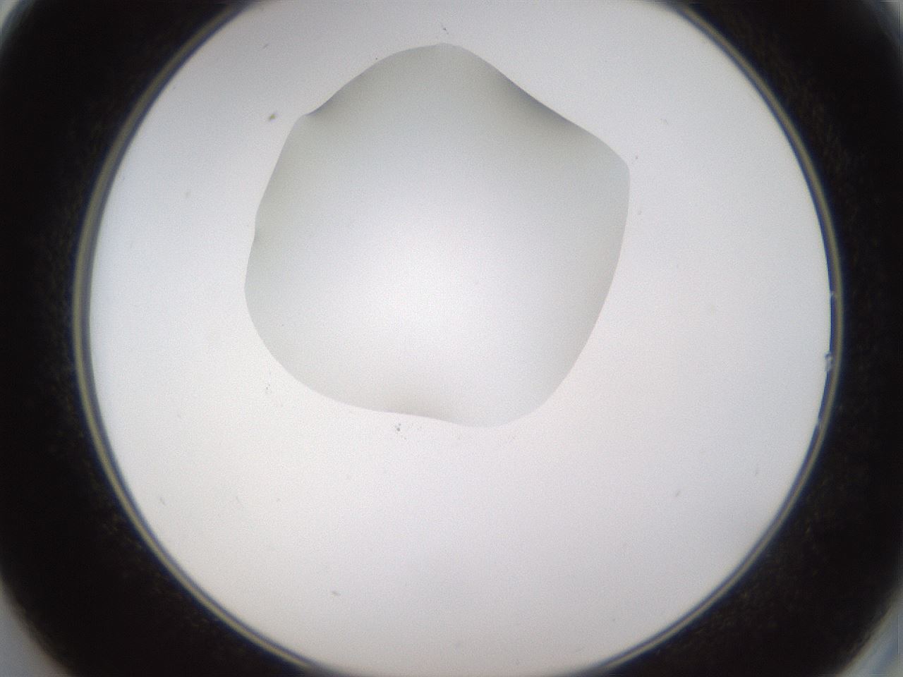 folderID597_plateID1597_batchID6720_wellNum14_profileID1_d2_r104463_ef.jpg