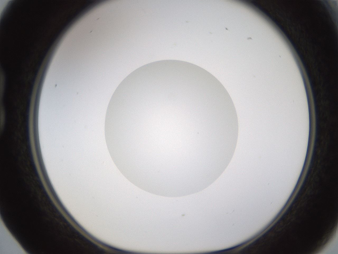 folderID597_plateID1597_batchID6720_wellNum17_profileID1_d1_r104468_ef.jpg