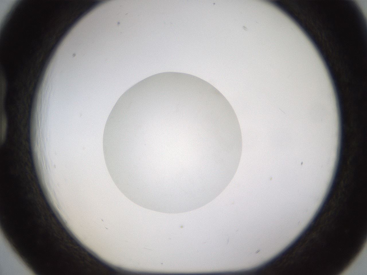 folderID597_plateID1597_batchID6720_wellNum18_profileID1_d1_r104470_ef.jpg