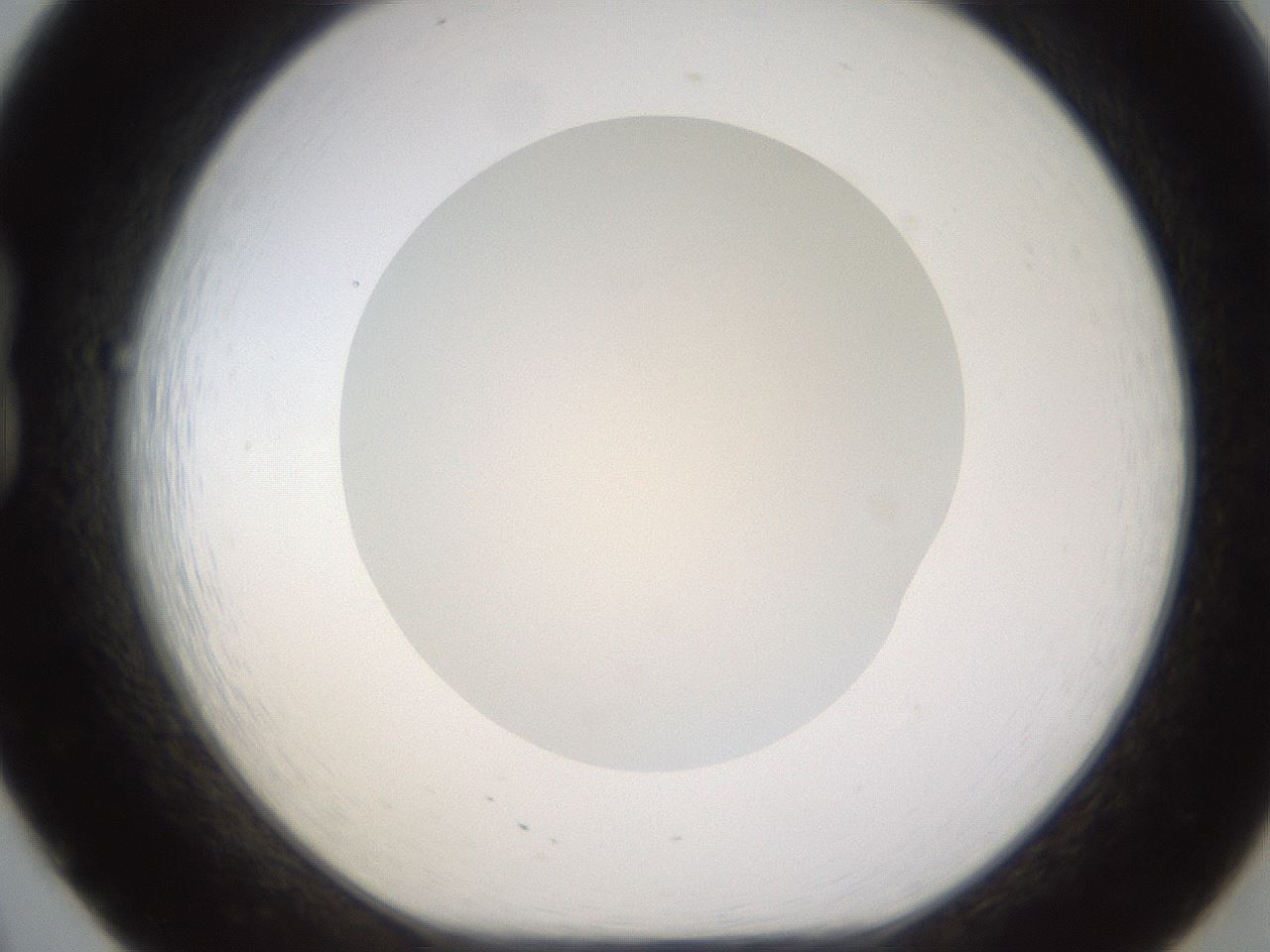 folderID597_plateID1597_batchID6720_wellNum20_profileID1_d1_r104474_ef.jpg