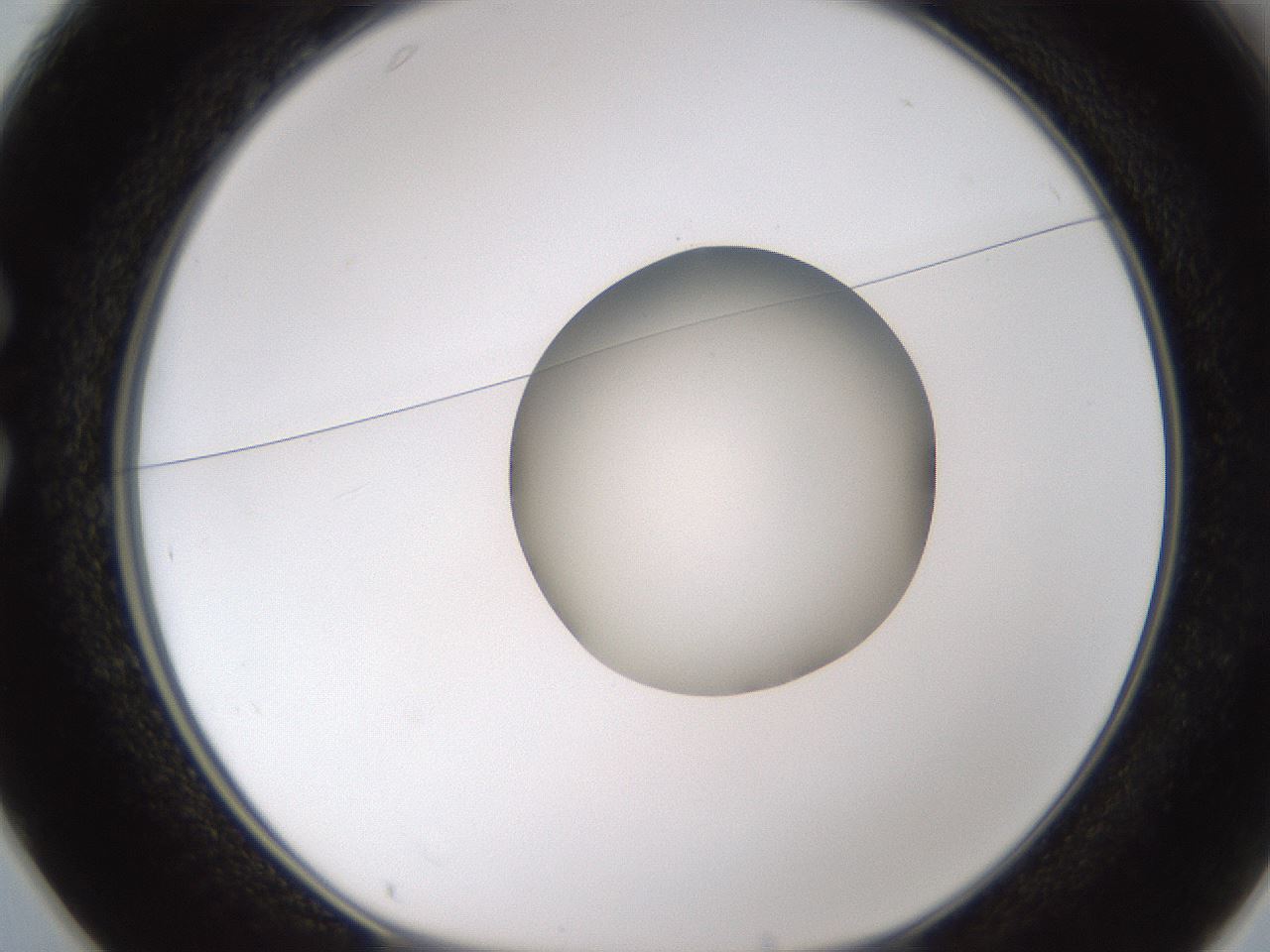 folderID597_plateID1597_batchID6720_wellNum25_profileID1_d1_r104484_ef.jpg