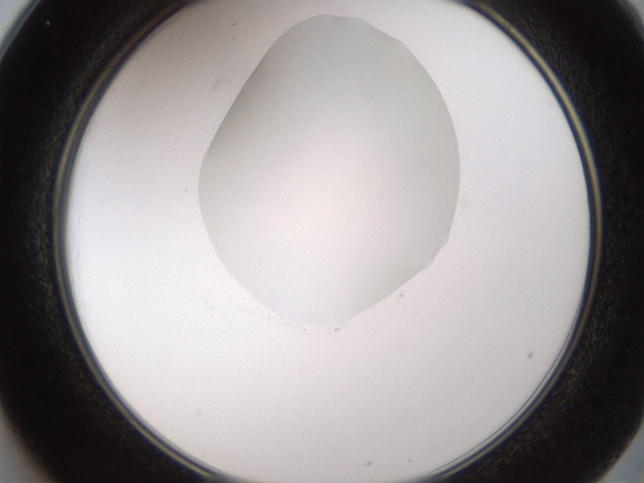 folderID597_plateID1597_batchID6720_wellNum25_profileID1_d2_r104485_ef.jpg