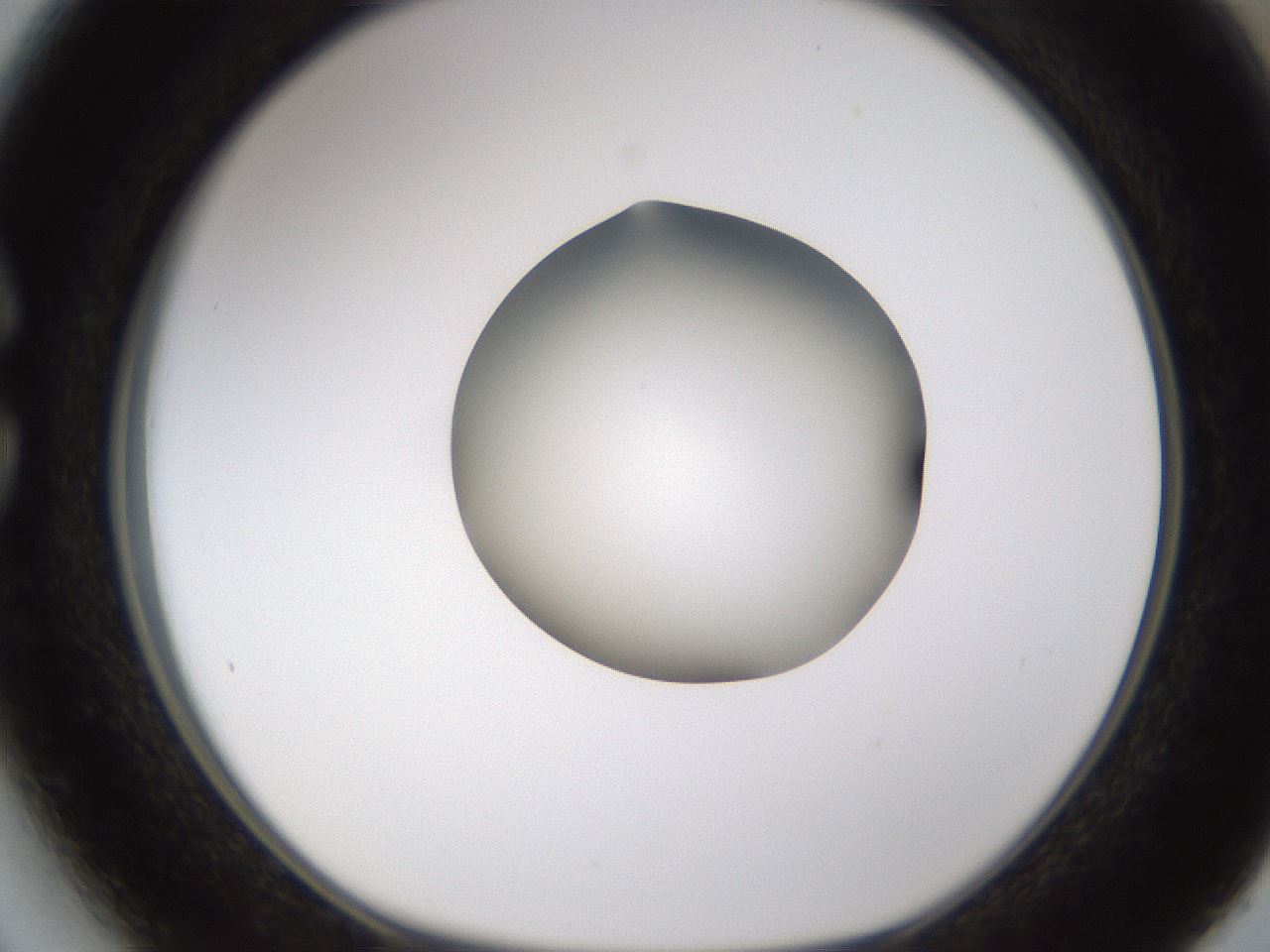 folderID597_plateID1597_batchID6720_wellNum27_profileID1_d1_r104488_ef.jpg