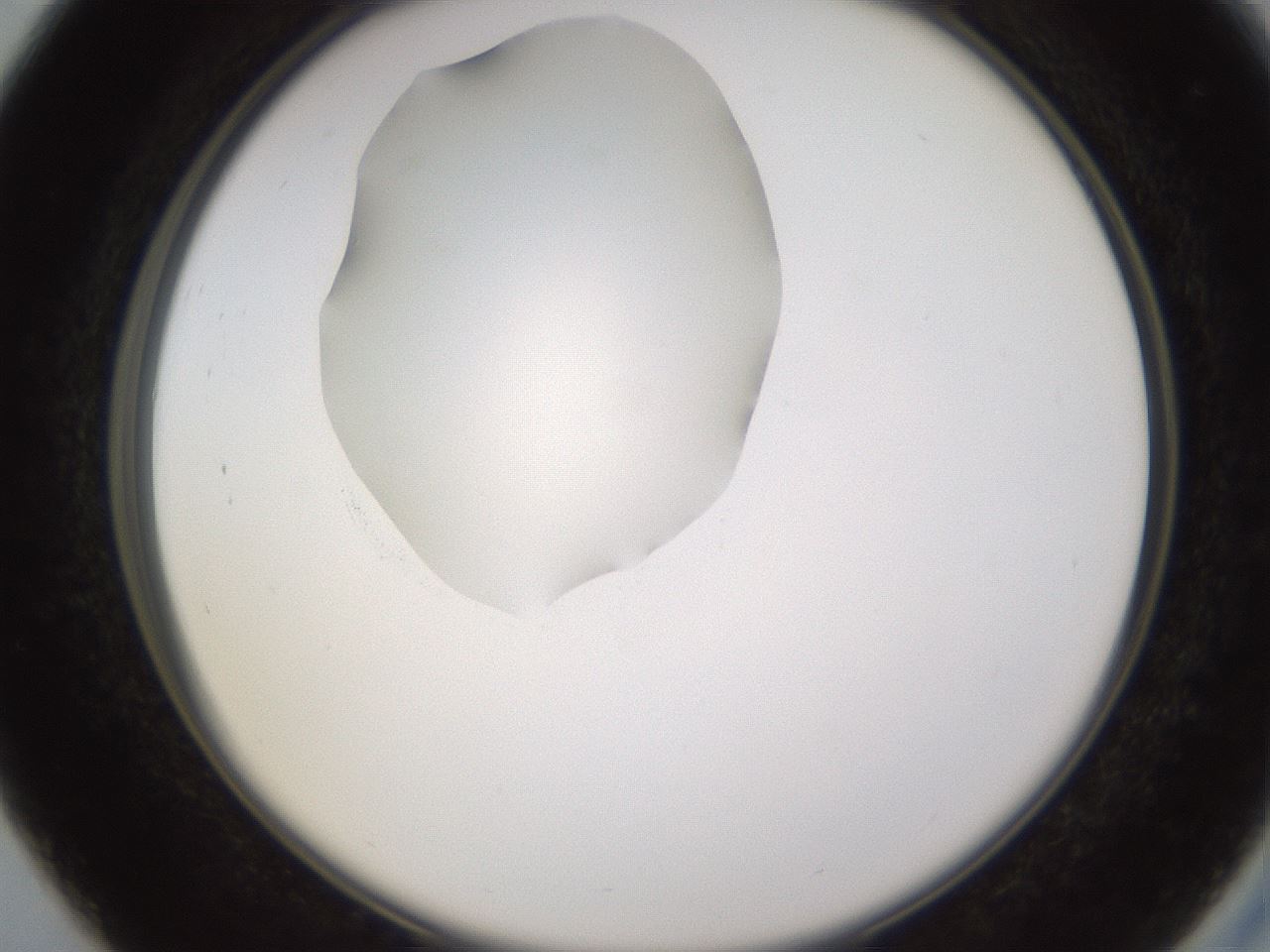 folderID597_plateID1597_batchID6720_wellNum27_profileID1_d2_r104489_ef.jpg