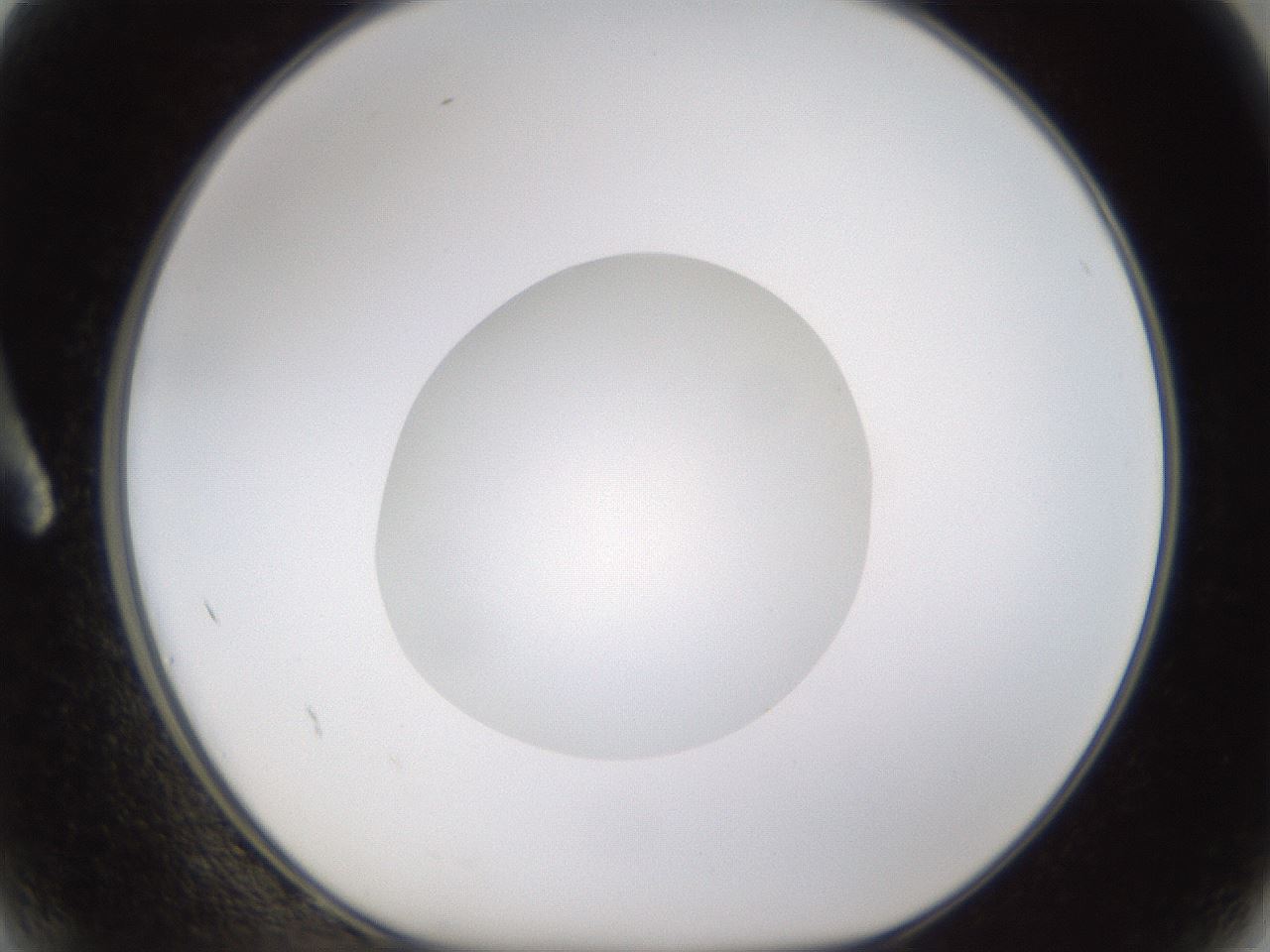 folderID597_plateID1597_batchID6720_wellNum2_profileID1_d1_r104438_ef.jpg
