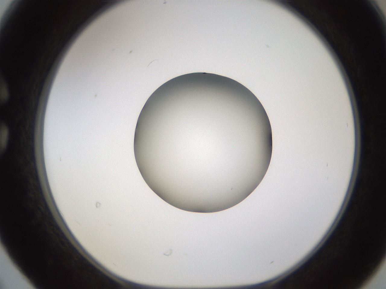 folderID597_plateID1597_batchID6720_wellNum30_profileID1_d1_r104494_ef.jpg
