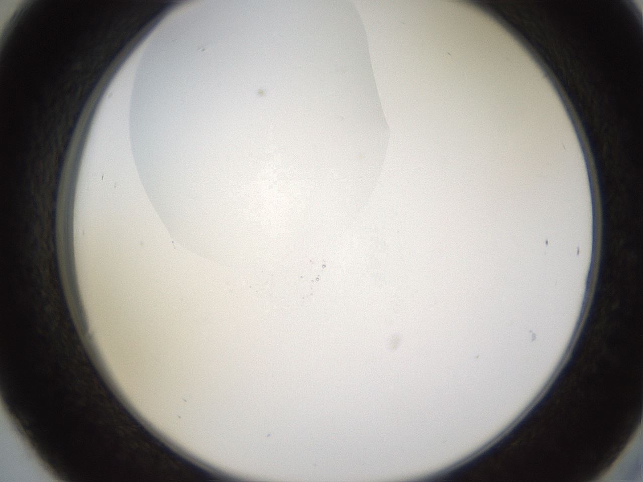 folderID597_plateID1597_batchID6720_wellNum30_profileID1_d2_r104495_ef.jpg