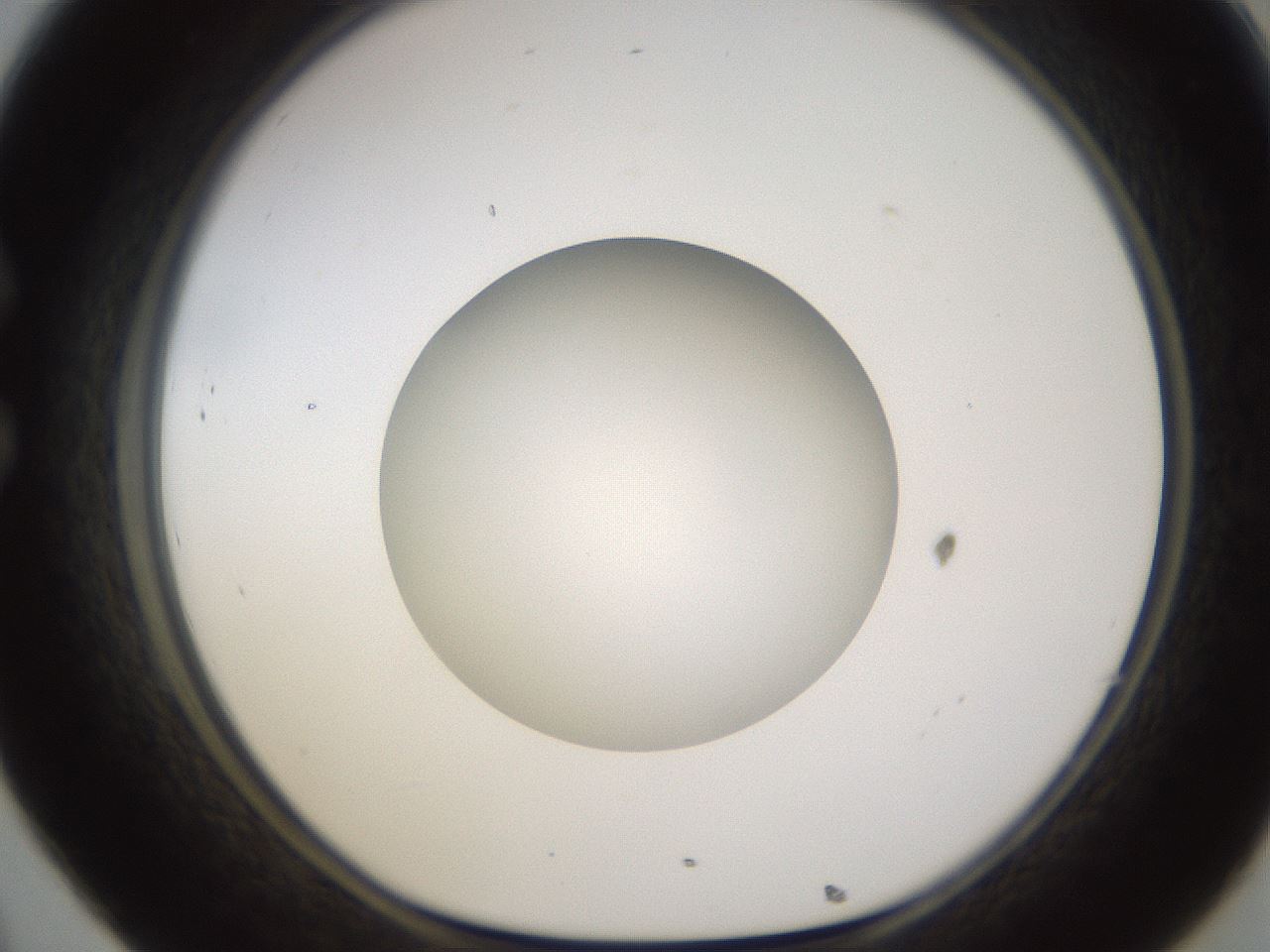 folderID597_plateID1597_batchID6720_wellNum32_profileID1_d1_r104498_ef.jpg