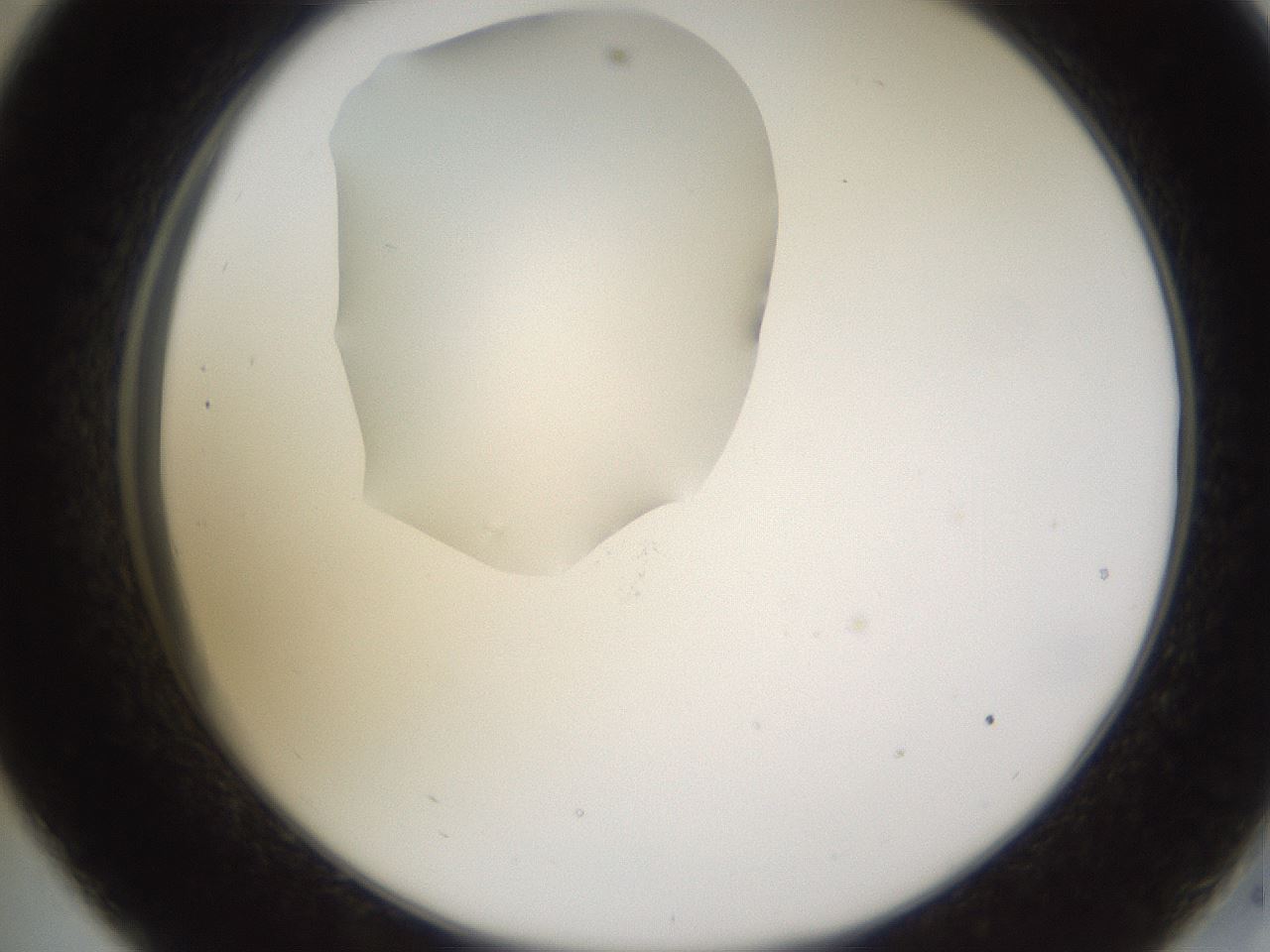 folderID597_plateID1597_batchID6720_wellNum33_profileID1_d2_r104501_ef.jpg