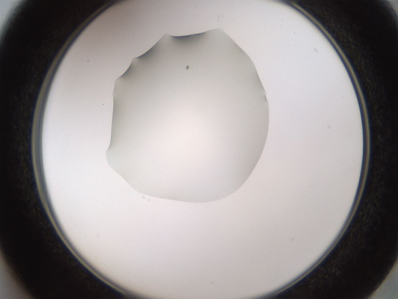 folderID597_plateID1597_batchID6720_wellNum37_profileID1_d2_r104509_ef.jpg