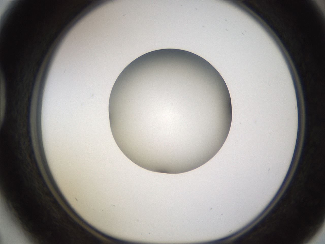 folderID597_plateID1597_batchID6720_wellNum41_profileID1_d1_r104516_ef.jpg