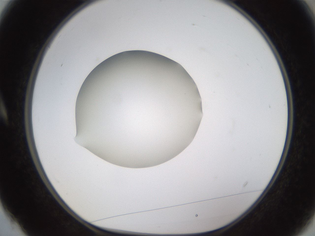 folderID597_plateID1597_batchID6720_wellNum4_profileID1_d1_r104442_ef.jpg