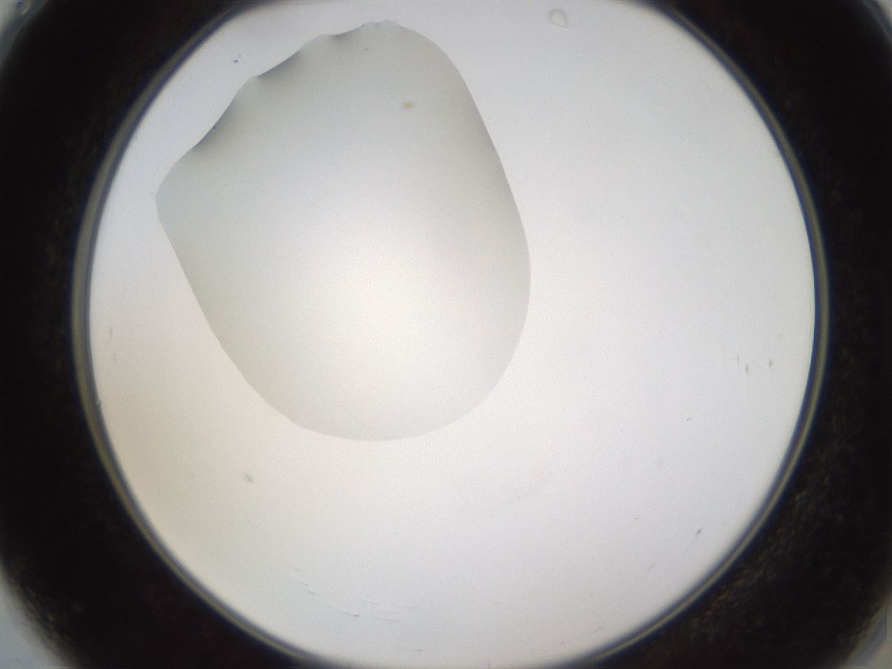 folderID597_plateID1597_batchID6720_wellNum4_profileID1_d2_r104443_ef.jpg