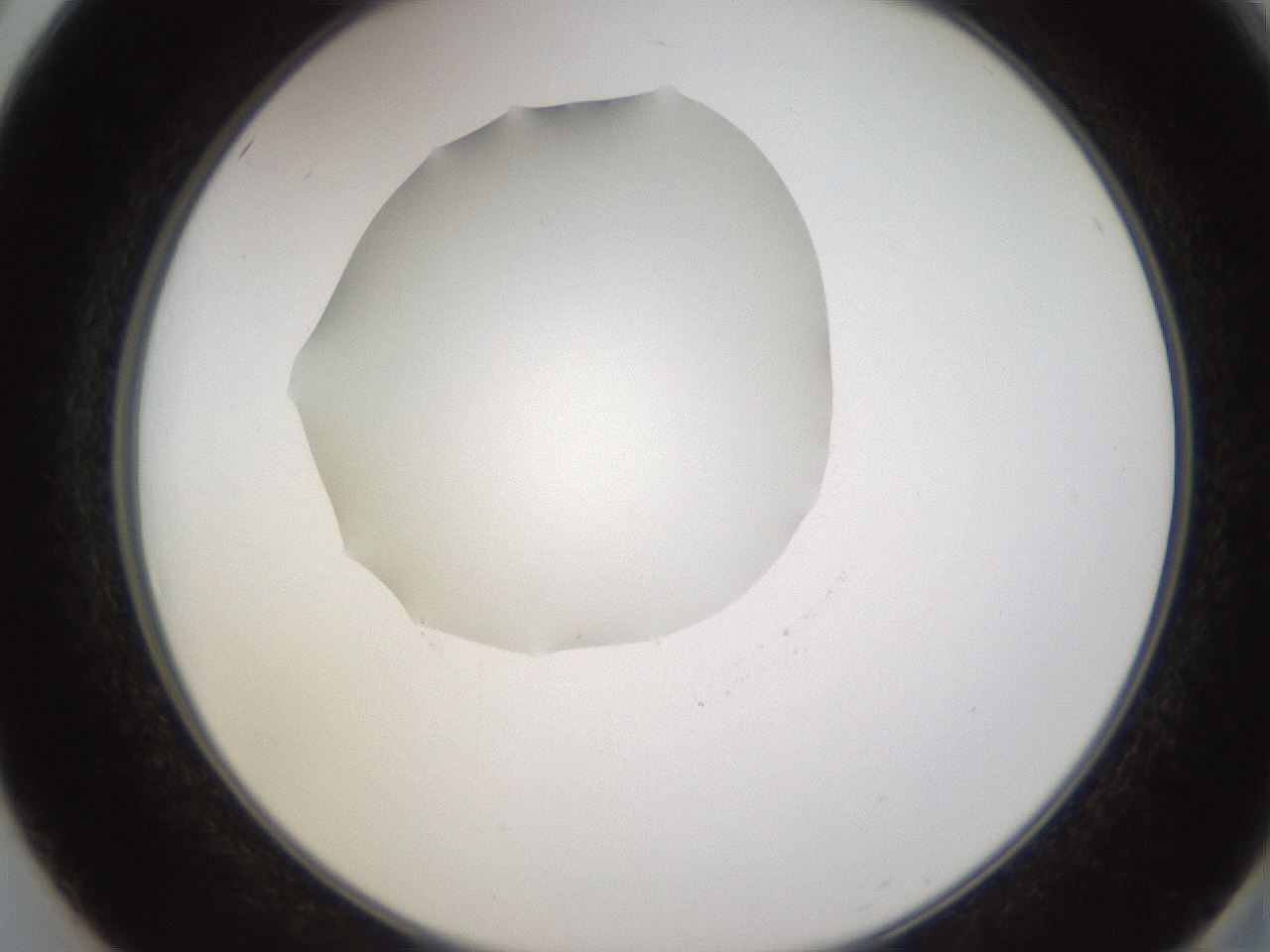 folderID597_plateID1597_batchID6720_wellNum50_profileID1_d2_r104535_ef.jpg
