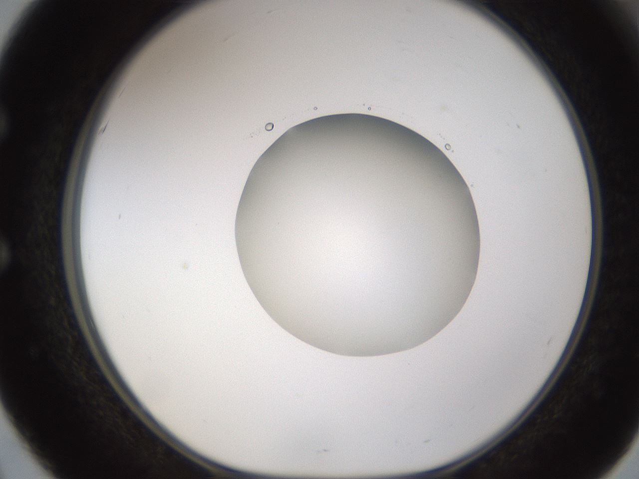 folderID597_plateID1597_batchID6720_wellNum51_profileID1_d1_r104536_ef.jpg