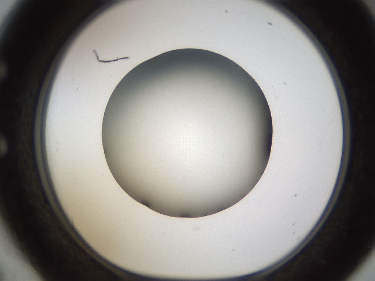 folderID597_plateID1597_batchID6720_wellNum54_profileID1_d1_r104542_ef.jpg