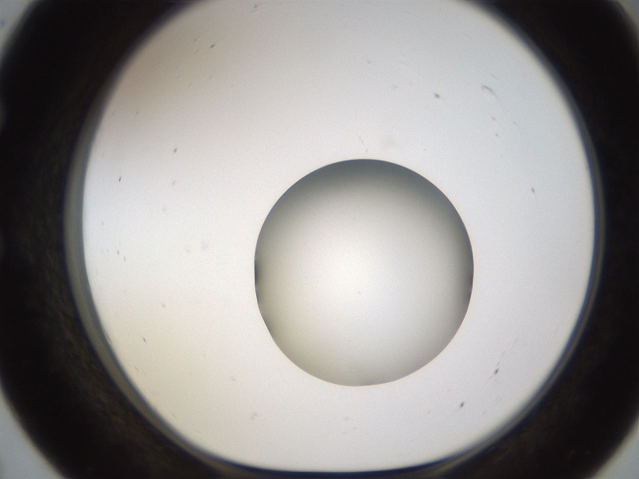 folderID597_plateID1597_batchID6720_wellNum55_profileID1_d1_r104544_ef.jpg