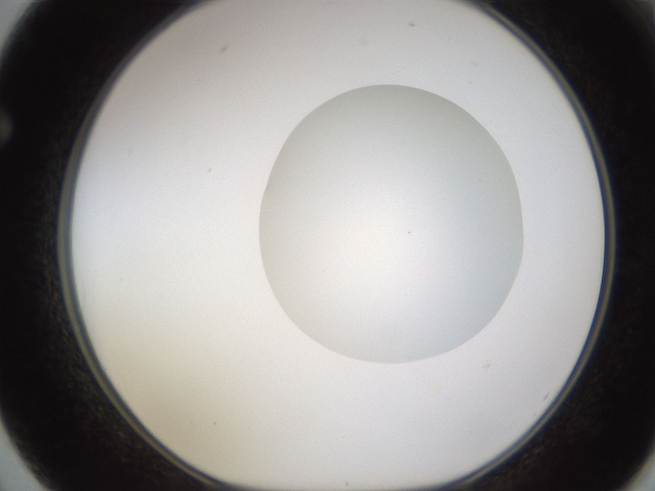 folderID597_plateID1597_batchID6720_wellNum62_profileID1_d1_r104558_ef.jpg