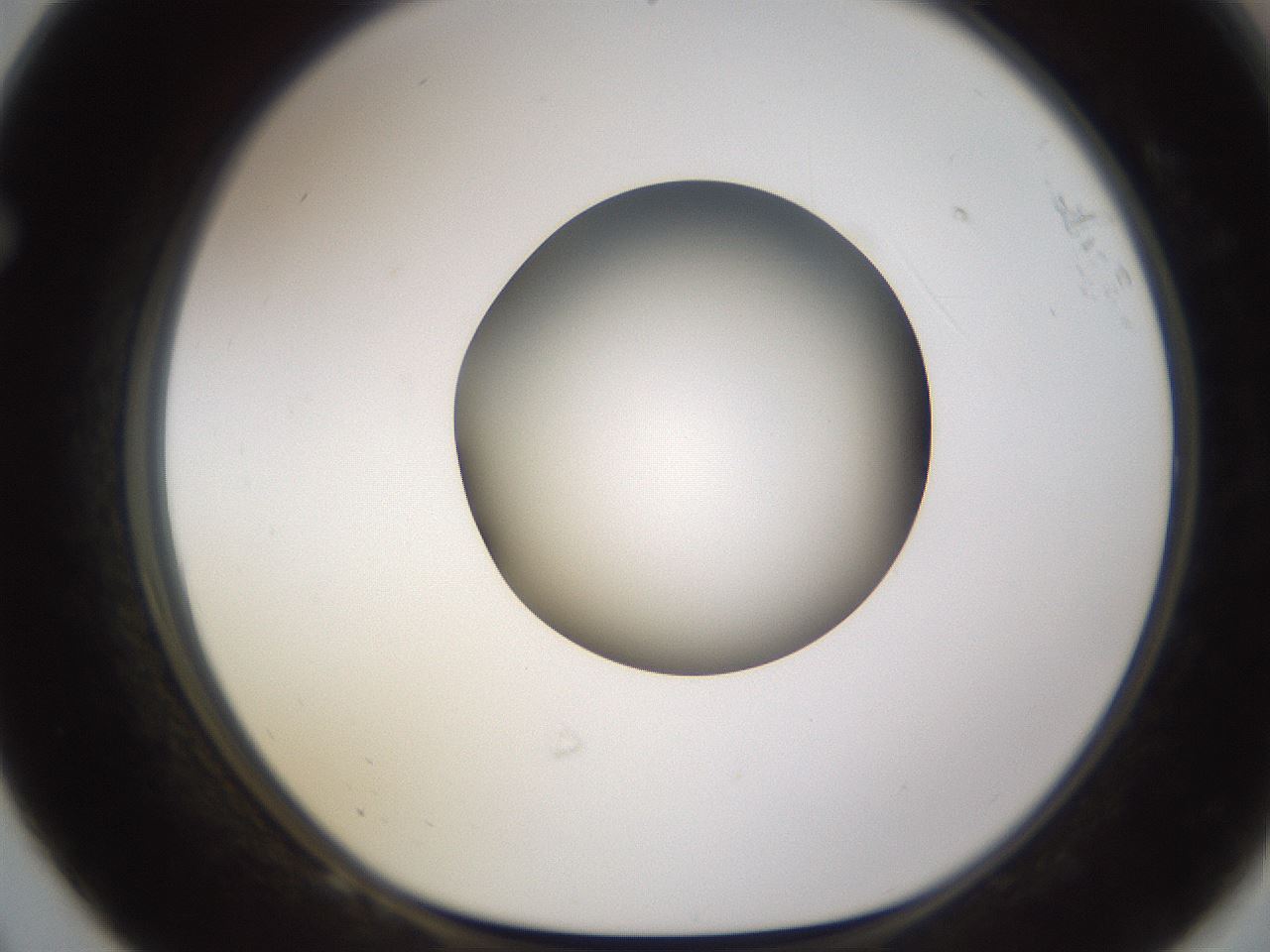 folderID597_plateID1597_batchID6720_wellNum68_profileID1_d1_r104570_ef.jpg