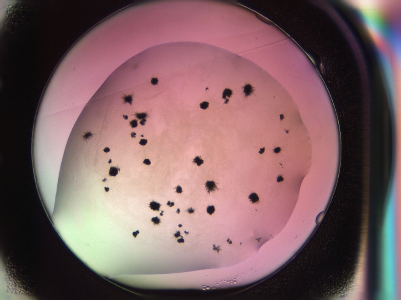 02nr_E1_ImagerDefaults_6.jpg