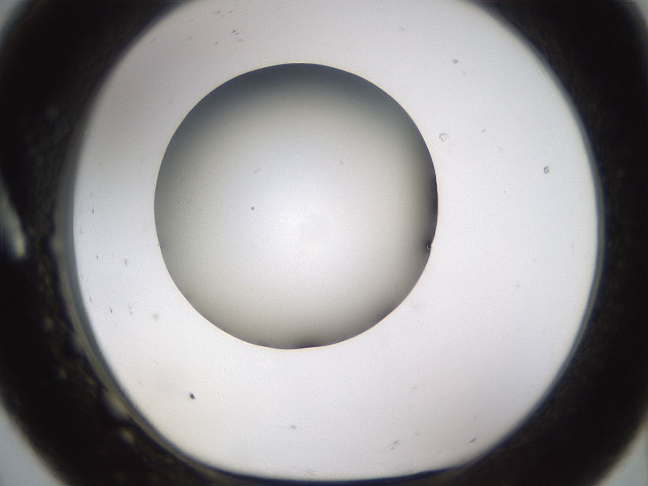 folderID597_plateID1597_batchID6720_wellNum8_profileID1_d1_r104450_ef.jpg