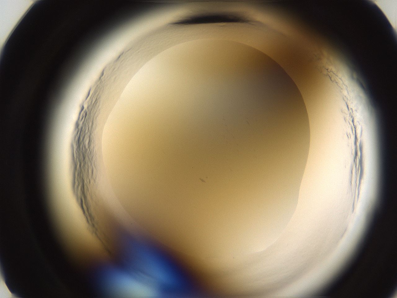 folderID597_plateID2597_batchID13193_wellNum11_profileID1_d2_r207401_ef.jpg