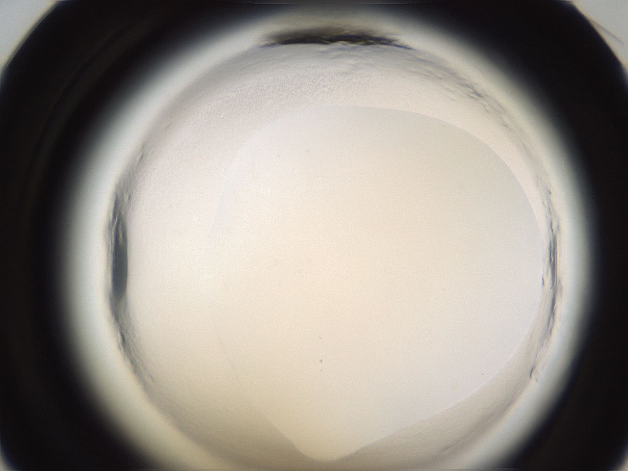 folderID597_plateID2597_batchID13193_wellNum35_profileID1_d1_r207472_ef.jpg
