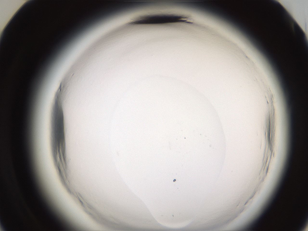 folderID597_plateID2597_batchID13193_wellNum36_profileID1_d3_r207477_ef.jpg