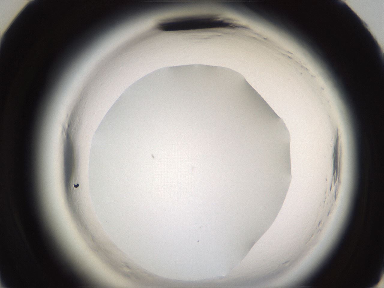 folderID597_plateID2597_batchID13193_wellNum47_profileID1_d3_r207510_ef.jpg