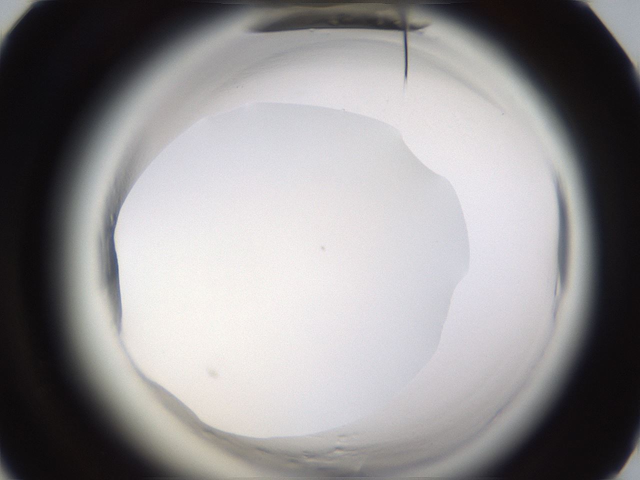 folderID597_plateID2597_batchID13193_wellNum52_profileID1_d1_r207523_ef.jpg