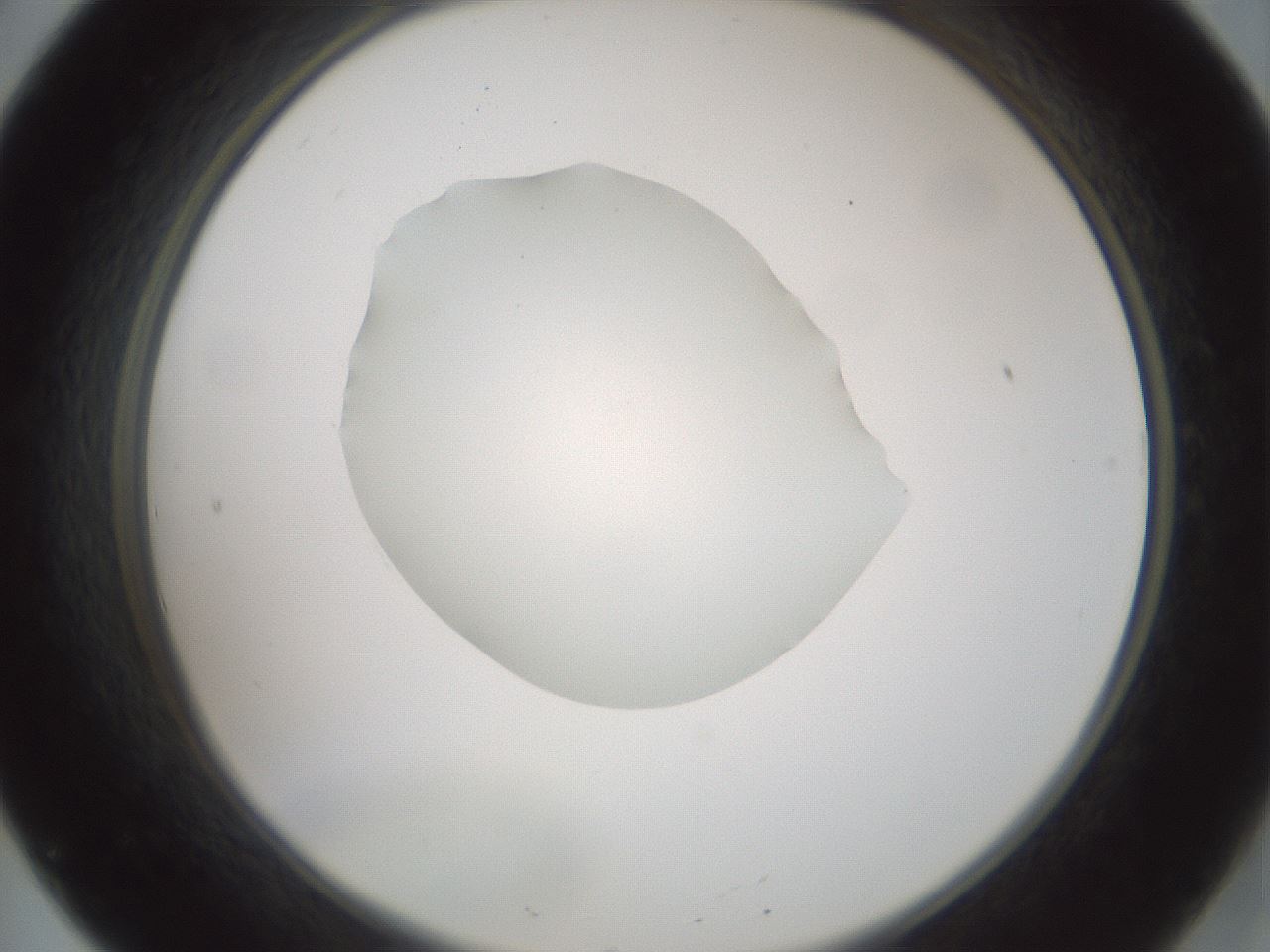 folderID598_plateID1598_batchID6731_wellNum20_profileID1_d2_r106587_ef.jpg
